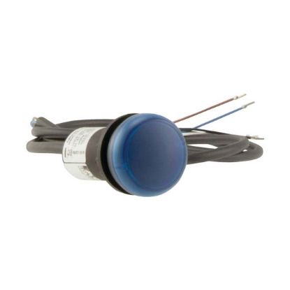 Slika C22-L-B-24-P62