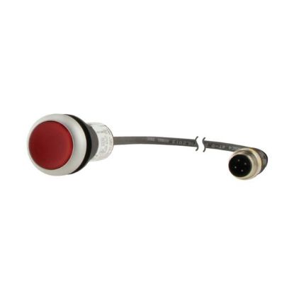 Slika C22-DL-R-K01-24-P1
