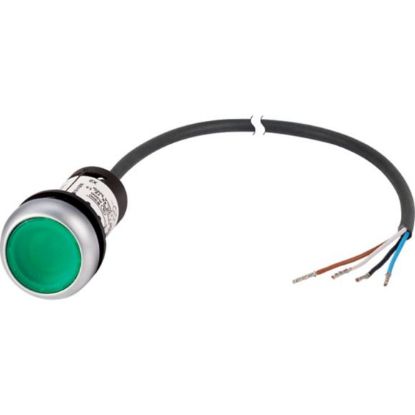 Slika C22-DL-G-K10-24-P62