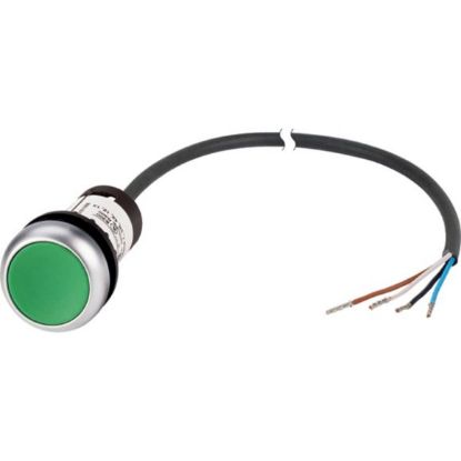 Slika C22-D-G-K10-P62