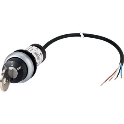 Slika C22-WRS3-MS1-K20-P62